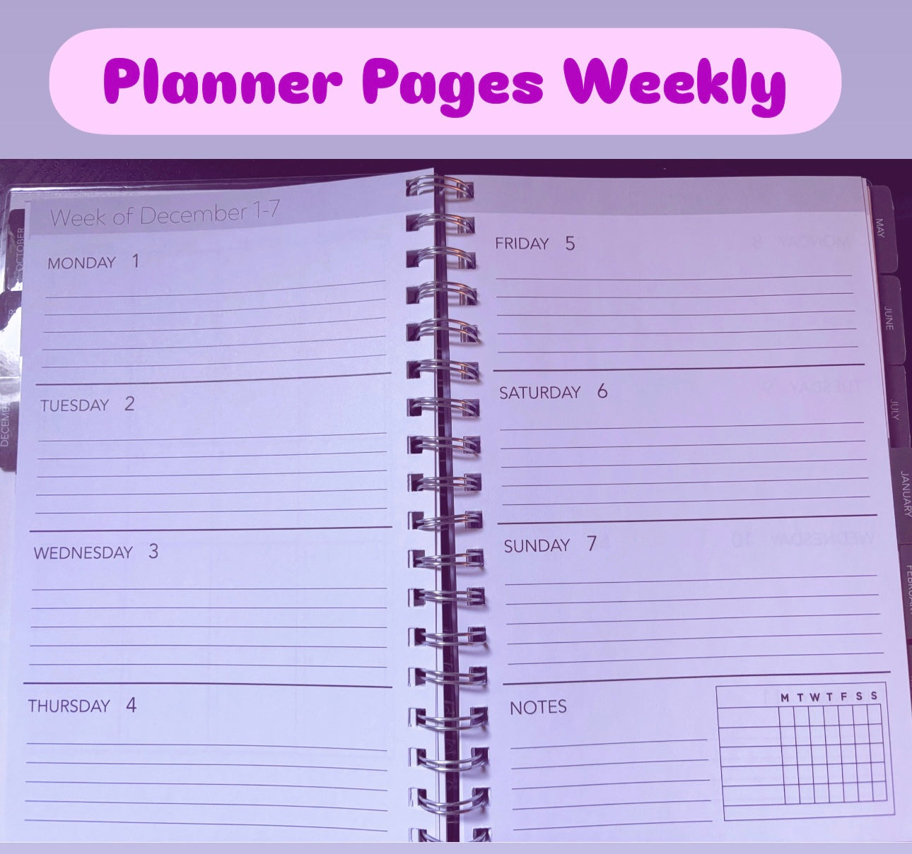 Bands Notebook/Planner